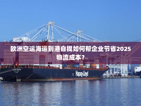 欧洲空运海运到港自提如何帮企业节省2025物流成本？