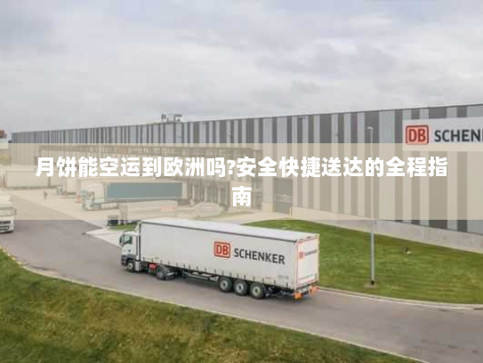 月饼能空运到欧洲吗?安全快捷送达的全程指南