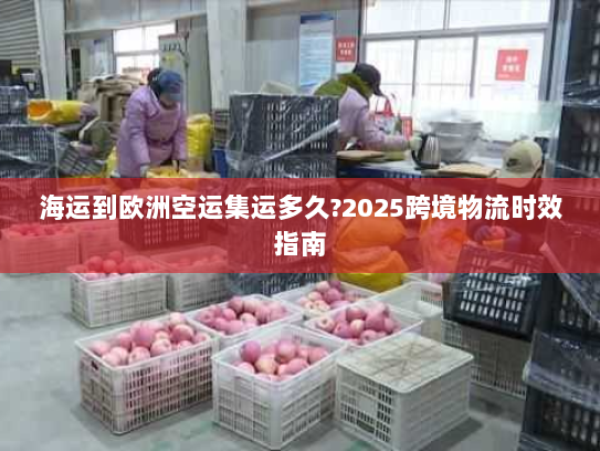 海运到欧洲空运集运多久?2025跨境物流时效指南