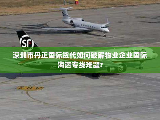 深圳市丹正国际货代如何破解物业企业国际海运专线难题?