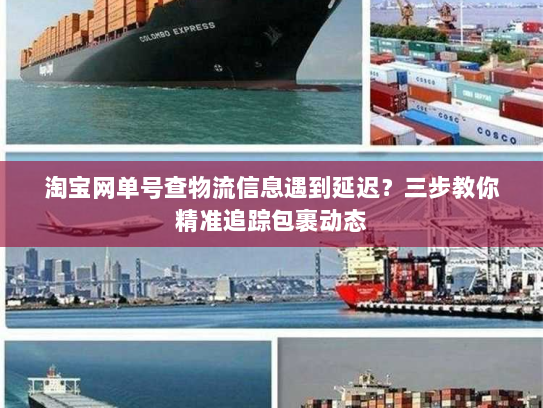 淘宝网单号查物流信息遇到延迟?三步教你精准追踪包裹动态 淘宝网单号查物流信息遇到延迟?三步教你精准追踪包裹动态