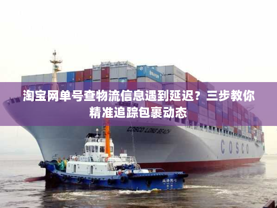 淘宝网单号查物流信息遇到延迟?三步教你精准追踪包裹动态 淘宝网单号查物流信息遇到延迟?三步教你精准追踪包裹动态