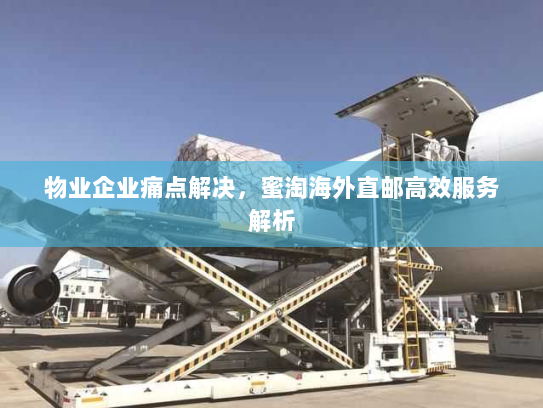 物业企业痛点解决，蜜淘海外直邮高效服务解析