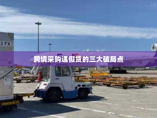 跨境采购遇假货的三大破局点