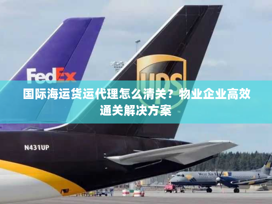 国际海运货运代理怎么清关？物业企业高效通关解决方案