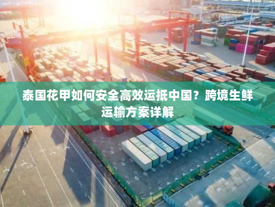 泰国花甲如何安全高效运抵中国？跨境生鲜运输方案详解
