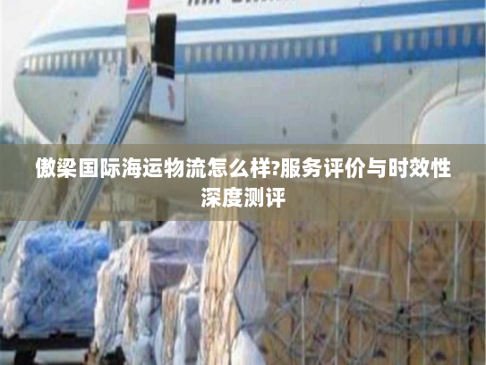 傲梁国际海运物流怎么样?服务评价与时效性深度测评