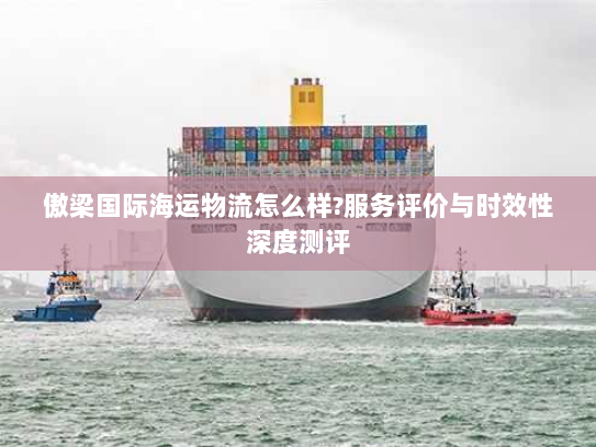 傲梁国际海运物流怎么样?服务评价与时效性深度测评
