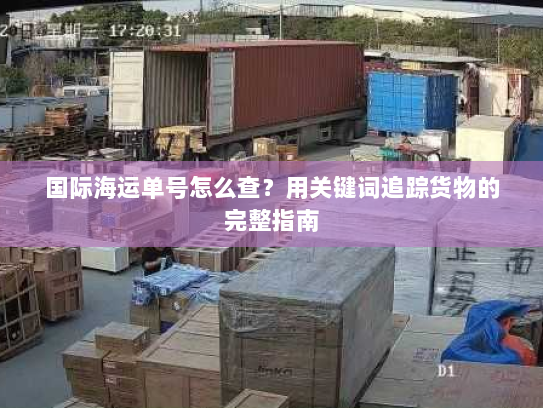 国际海运单号怎么查？用关键词追踪货物的完整指南