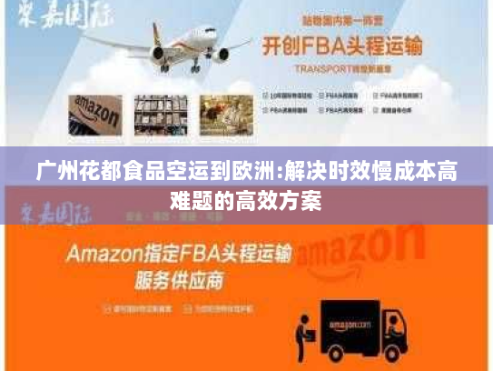 广州花都食品空运到欧洲:解决时效慢成本高难题的高效方案