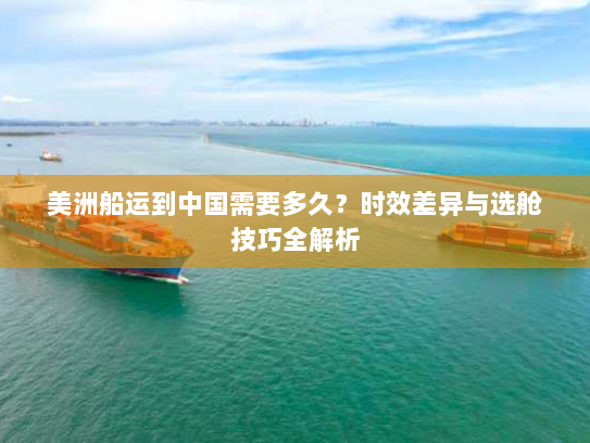 美洲船运到中国需要多久？时效差异与选舱技巧全解析