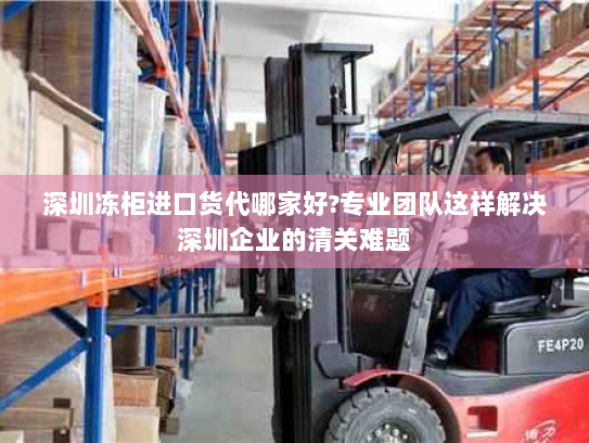 深圳冻柜进口货代哪家好?专业团队这样解决深圳企业的清关难题