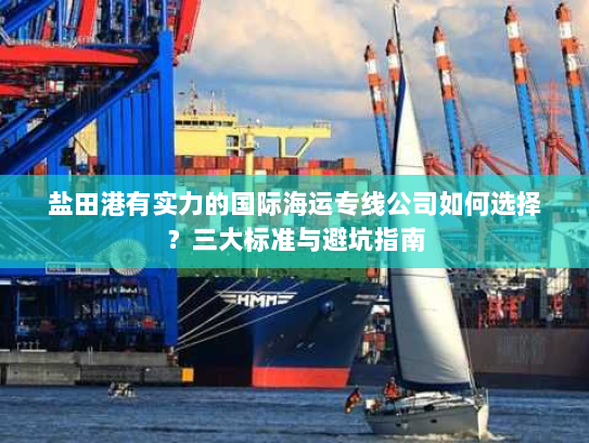 盐田港有实力的国际海运专线公司如何选择？三大标准与避坑指南