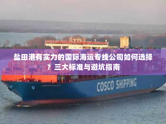 盐田港有实力的国际海运专线公司如何选择？三大标准与避坑指南