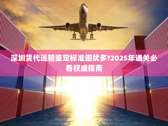 深圳货代运输鉴定标准困扰多?2025年通关必看权威指南