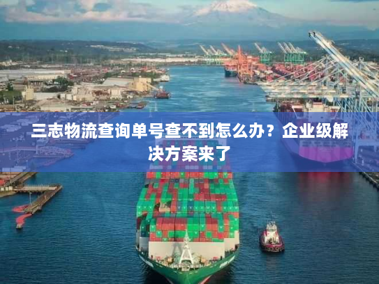 三志物流查询单号查不到怎么办?企业级解决方案来了 三志物流查询单号查不到怎么办?企业级解决方案来了