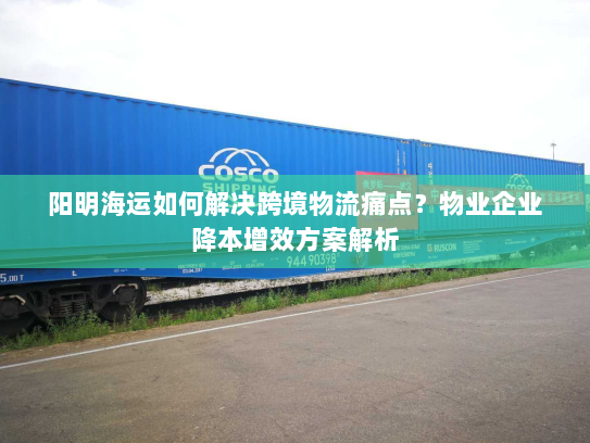 阳明海运如何解决跨境物流痛点？物业企业降本增效方案解析