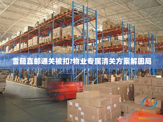 雪茄直邮通关被扣?物业专属清关方案解困局