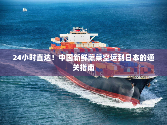 24小时直达!中国新鲜蔬菜空运到日本的通关指南 24小时直达!中国新鲜蔬菜空运到日本的通关指南