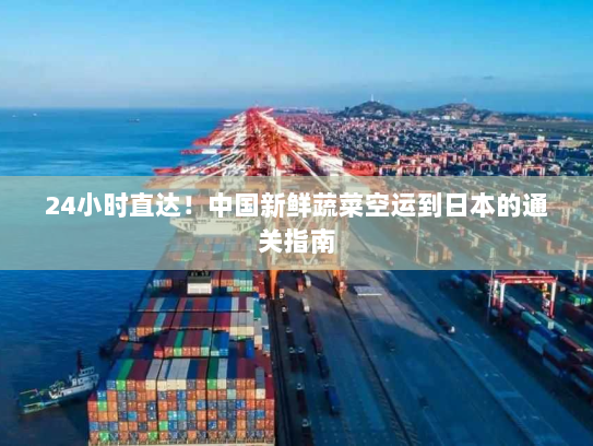 24小时直达!中国新鲜蔬菜空运到日本的通关指南 24小时直达!中国新鲜蔬菜空运到日本的通关指南