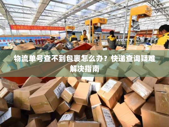 物流单号查不到包裹怎么办？快递查询疑难解决指南