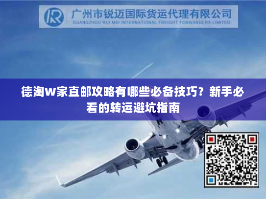 德淘W家直邮攻略有哪些必备技巧?新手必看的转运避坑指南 德淘W家直邮攻略有哪些必备技巧?新手必看的转运避坑指南