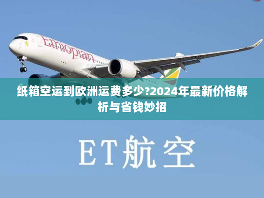 纸箱空运到欧洲运费多少?2024年最新价格解析与省钱妙招