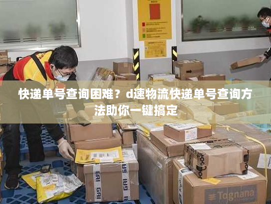 快递单号查询困难？d速物流快递单号查询方法助你一键搞定