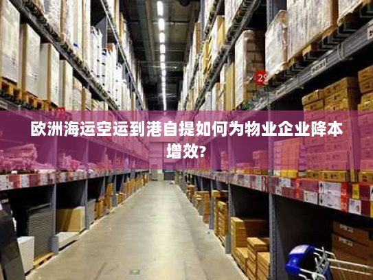 欧洲海运空运到港自提如何为物业企业降本增效?
