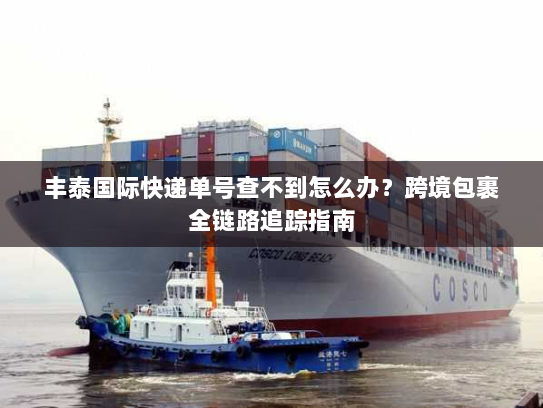 丰泰国际快递单号查不到怎么办?跨境包裹全链路追踪指南 丰泰国际快递单号查不到怎么办?跨境包裹全链路追踪指南