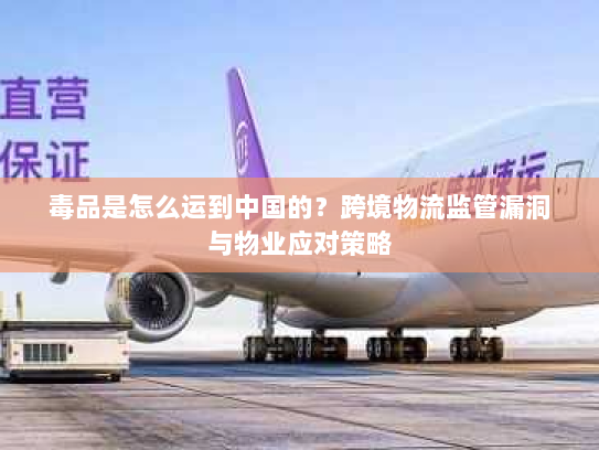 毒品是怎么运到中国的？跨境物流监管漏洞与物业应对策略