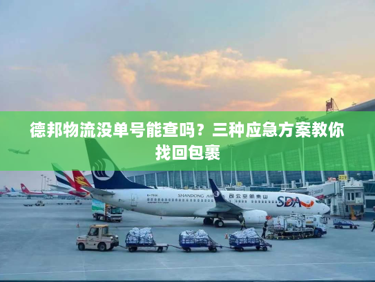德邦物流没单号能查吗?三种应急方案教你找回包裹 德邦物流没单号能查吗?三种应急方案教你找回包裹