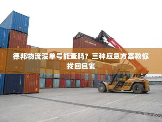 德邦物流没单号能查吗？三种应急方案教你找回包裹