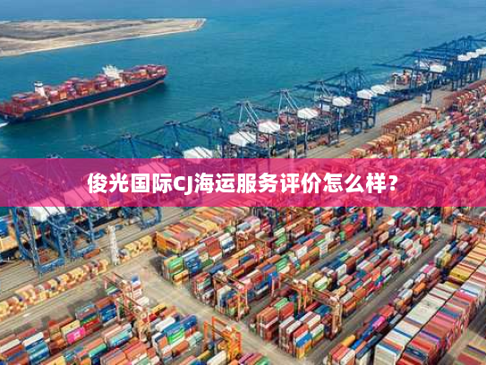 俊光国际CJ海运服务评价怎么样？