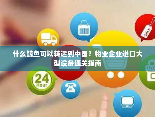什么鲸鱼可以转运到中国?物业企业进口大型设备通关指南 什么鲸鱼可以转运到中国?物业企业进口大型设备通关指南