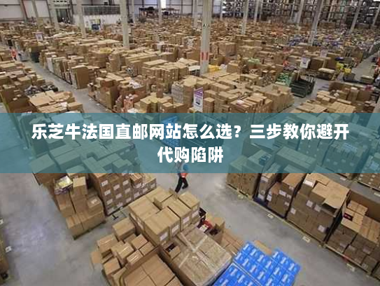 乐芝牛法国直邮网站怎么选？三步教你避开代购陷阱