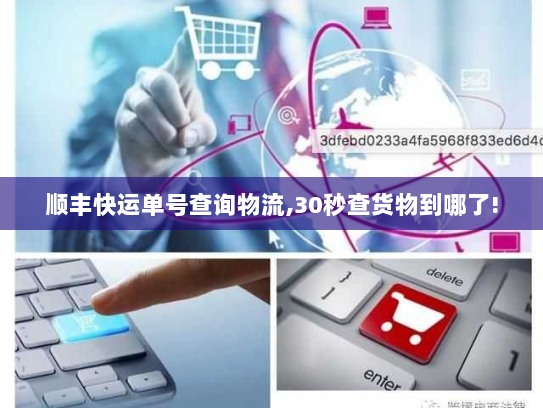 顺丰快运单号查询物流,30秒查货物到哪了!