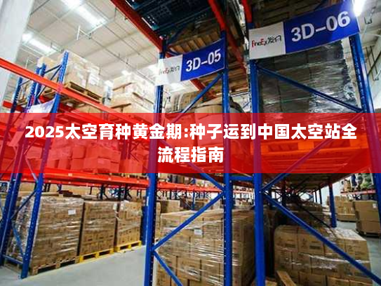 2025太空育种黄金期:种子运到中国太空站全流程指南 2025太空育种黄金期:种子运到中国太空站全流程指南