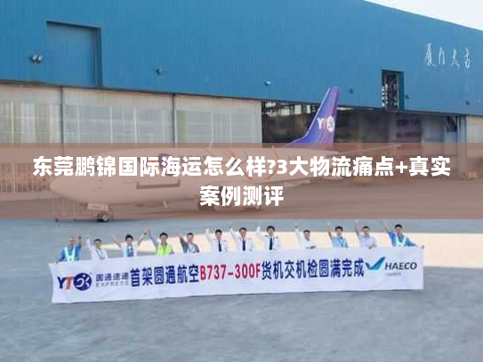 东莞鹏锦国际海运怎么样?3大物流痛点+真实案例测评