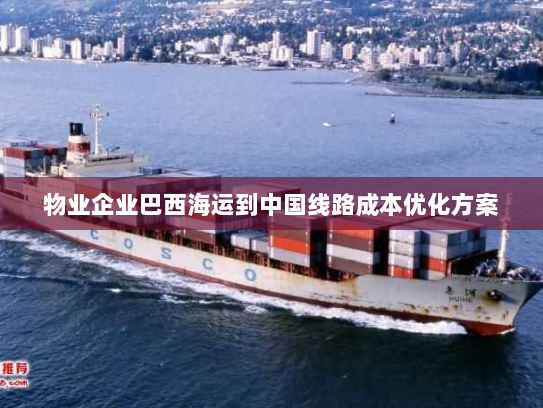 物业企业巴西海运到中国线路成本优化方案