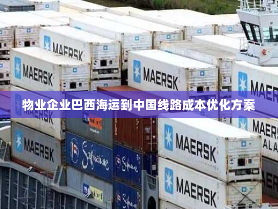 物业企业巴西海运到中国线路成本优化方案