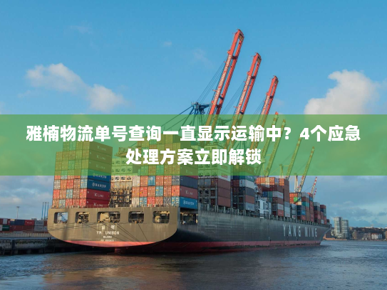 雅楠物流单号查询一直显示运输中？4个应急处理方案立即解锁