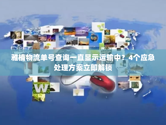 雅楠物流单号查询一直显示运输中？4个应急处理方案立即解锁