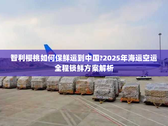 智利樱桃如何保鲜运到中国?2025年海运空运全程锁鲜方案解析 智利樱桃如何保鲜运到中国?2025年海运空运全程锁鲜方案解析