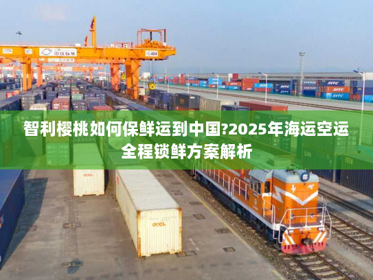 智利樱桃如何保鲜运到中国?2025年海运空运全程锁鲜方案解析