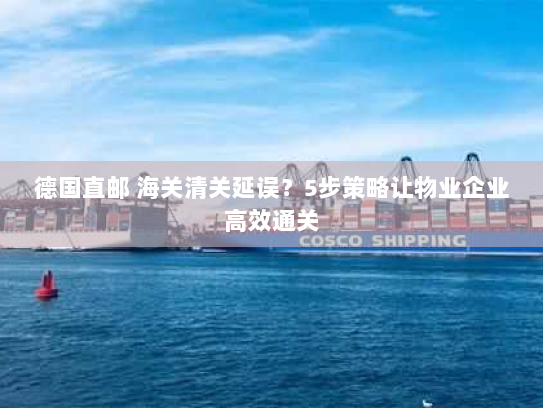 德国直邮 海关清关延误？5步策略让物业企业高效通关