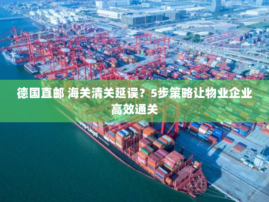 德国直邮 海关清关延误？5步策略让物业企业高效通关