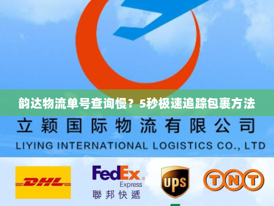 韵达物流单号查询慢？5秒极速追踪包裹方法