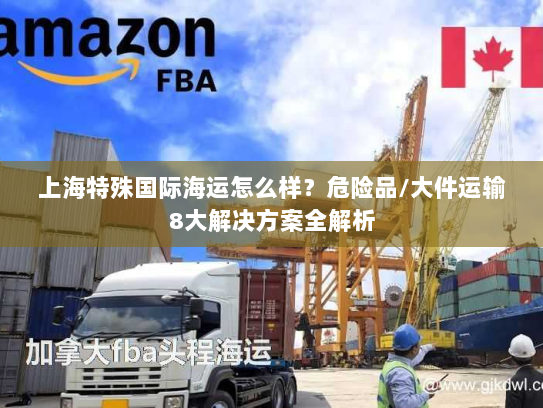 上海特殊国际海运怎么样？危险品/大件运输8大解决方案全解析