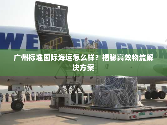 广州标准国际海运怎么样？揭秘高效物流解决方案
